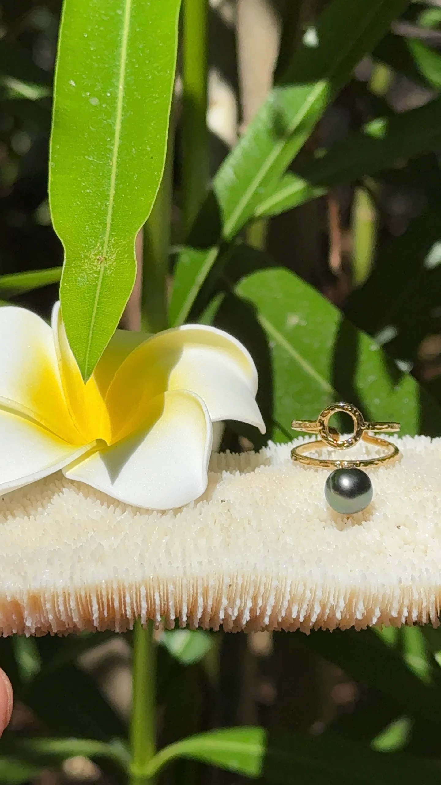Bague Soleia reglable en acier inoxydable doré et sa perle de tahiti